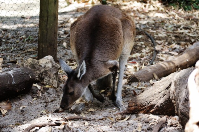 2G2A3652 (1280x853) (1280x853)