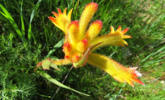 august 24th 029 (1280x777)