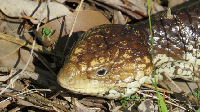 august 24th 062 (1280x719)