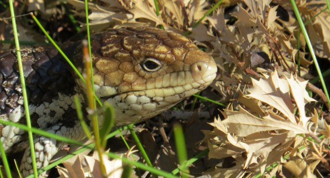 august 24th 073 (1280x691)