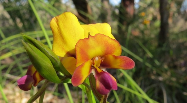 august 24th 115 (1280x709)