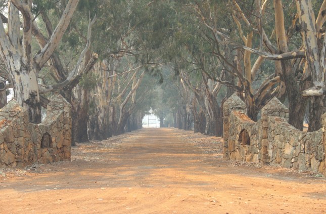Busselton Holidays 860 (1280x841)