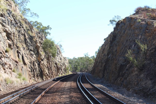 cathedral avenue bells 062 (1280x853)