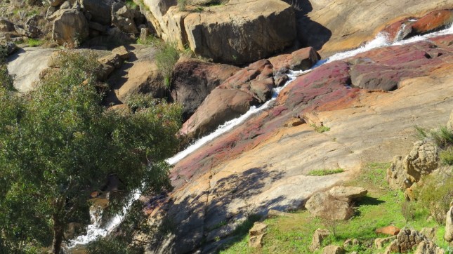 john july forest 2014 110 (1280x719)