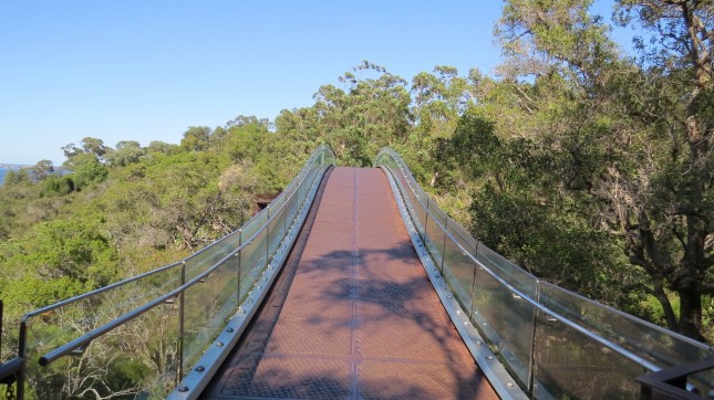 kings park 2 011 (1280x719)