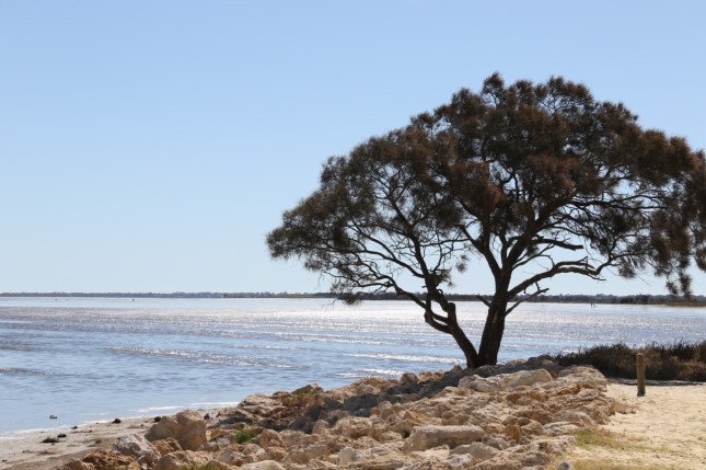 mandurah 11 01 2015 173 (1280x853)