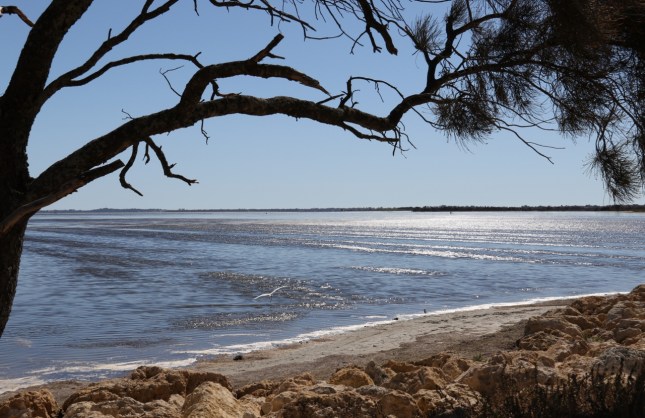 mandurah 11 01 2015 207 (1280x831)