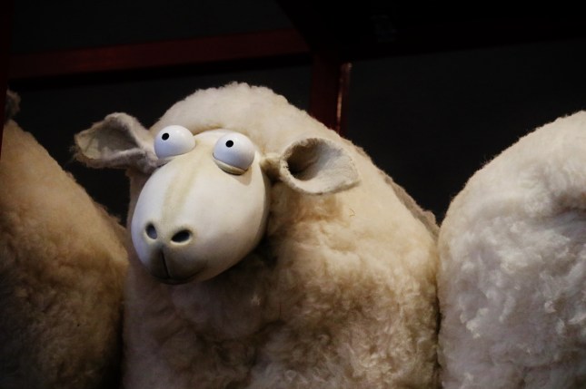 maritime museum 116 (1280x853)