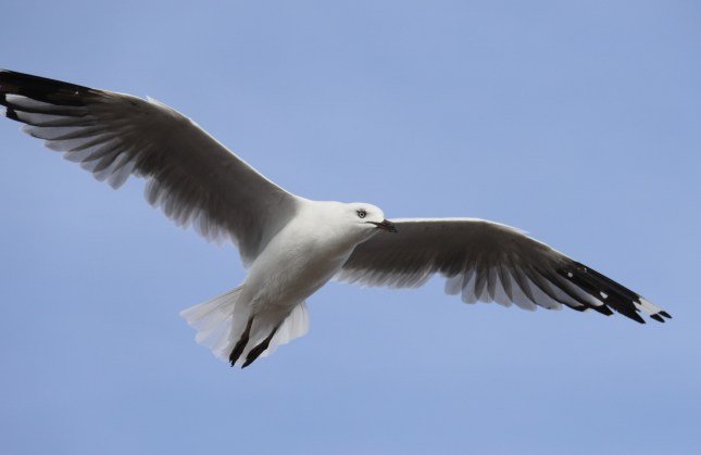 north mole 521 - Copy (1280x833)