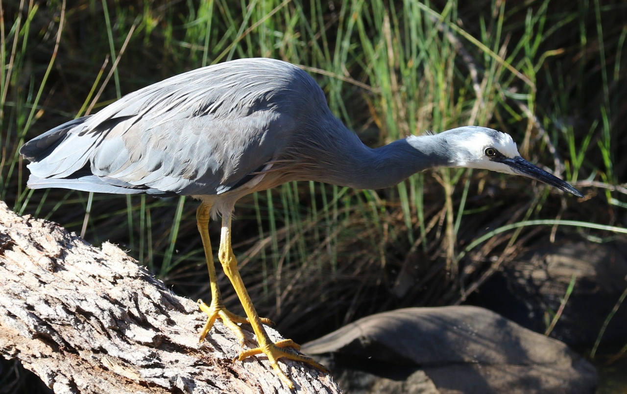 oble falls gidgegannup 202 (1280x805)