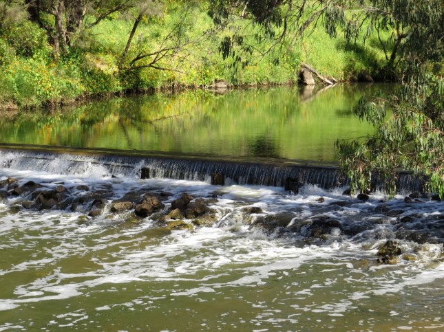 pinjarra 14 007 (1280x960)