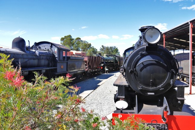 railway museum 306 (1280x853)