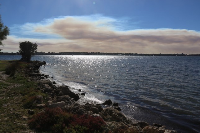 river forshore 514 (1280x853)