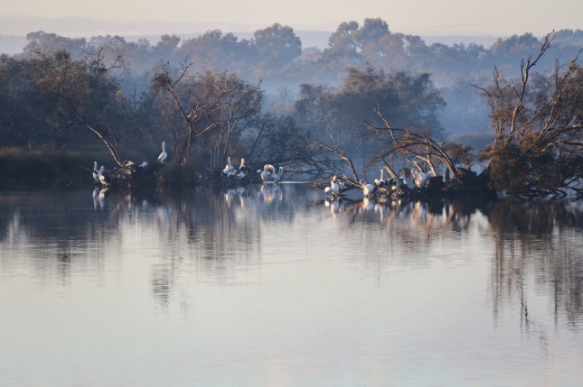 riverton bridge 6th july 359 (1280x853)