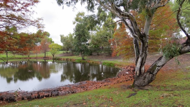 riverton swanson x50 087 (1280x719)