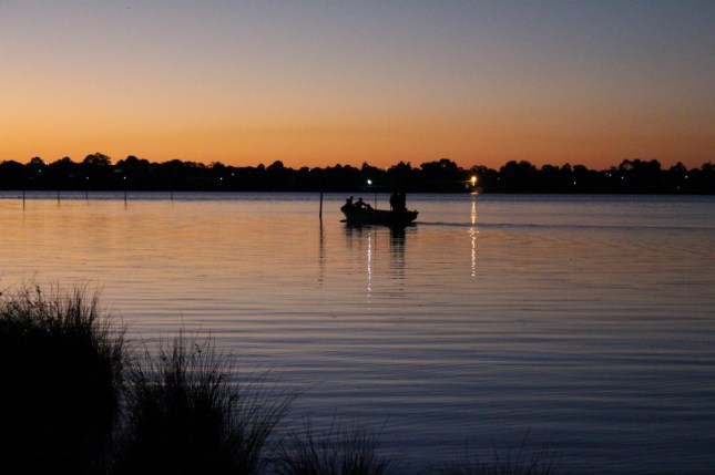 shelly foreshore 012 (1280x853)