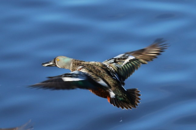 Solitude 7dmk2 730 (1280x855)