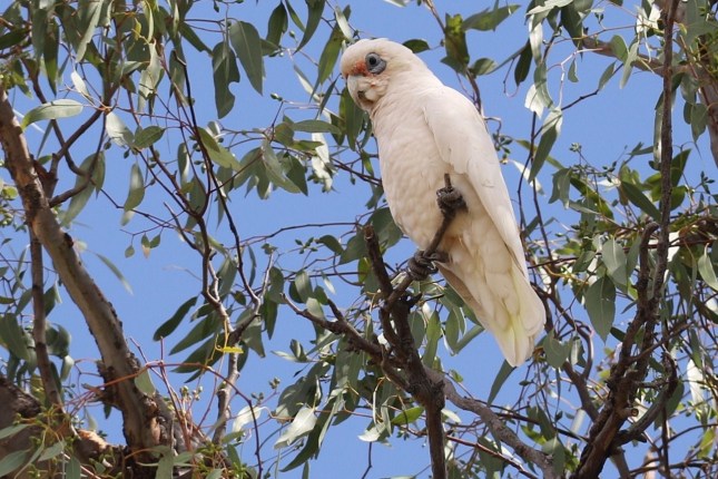 york trip 130 (1280x855)