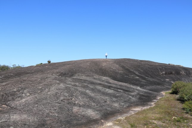 2G2A4941 (1280x853) - Copy - Copy