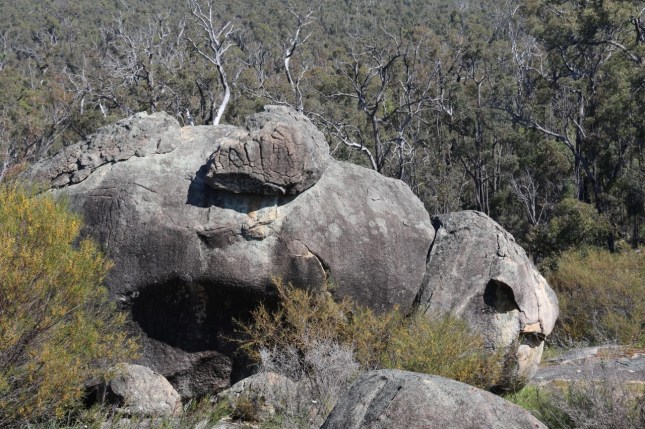 2G2A5023 (1280x853) - Copy