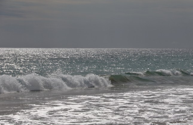 2G2A5731 (1280x835) (1280x835)