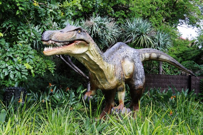 2G2A6230 (1280x853) (1280x853)