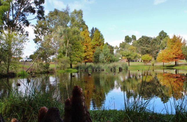 IMG_0009 (1280x853) (1262x827)