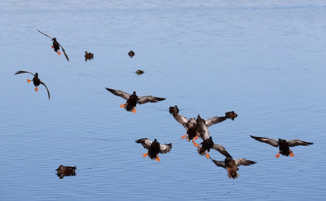 Solitude 7dmk2 471 (2)